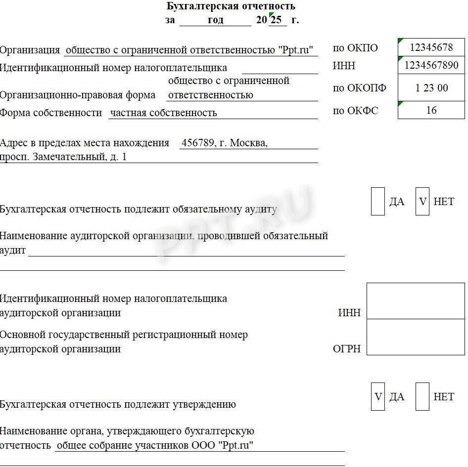 Образец заголовочной части бухгалтерской отчетности Образец заголовочной части бухгалтерской отчетности