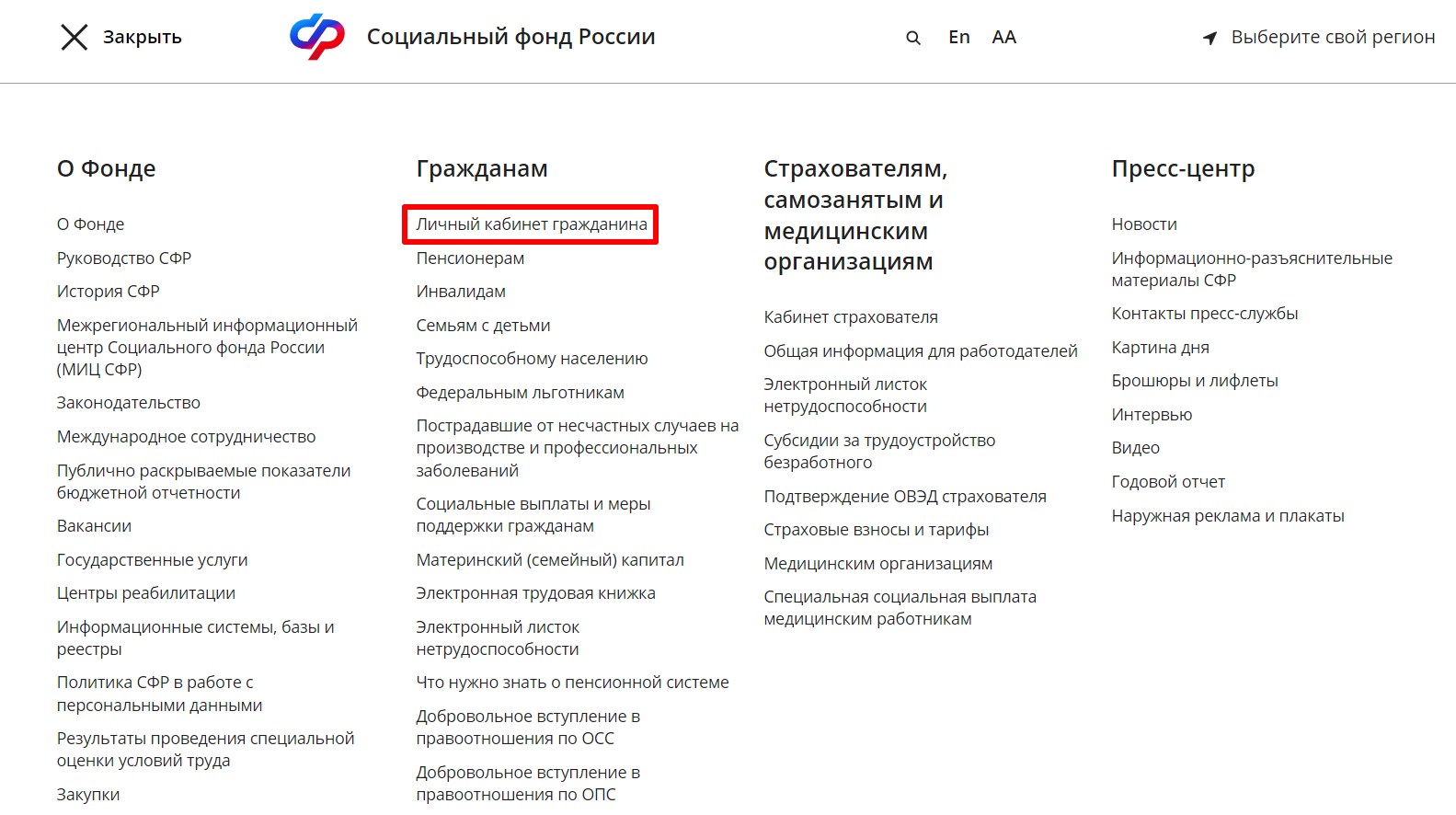 Личный кабинет гражданина на сайте СФР