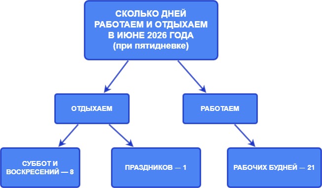График рабочих и выходных дней в июне 2026 года