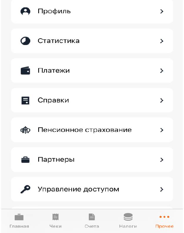 Раздел «Прочее» приложения «Мой налог»