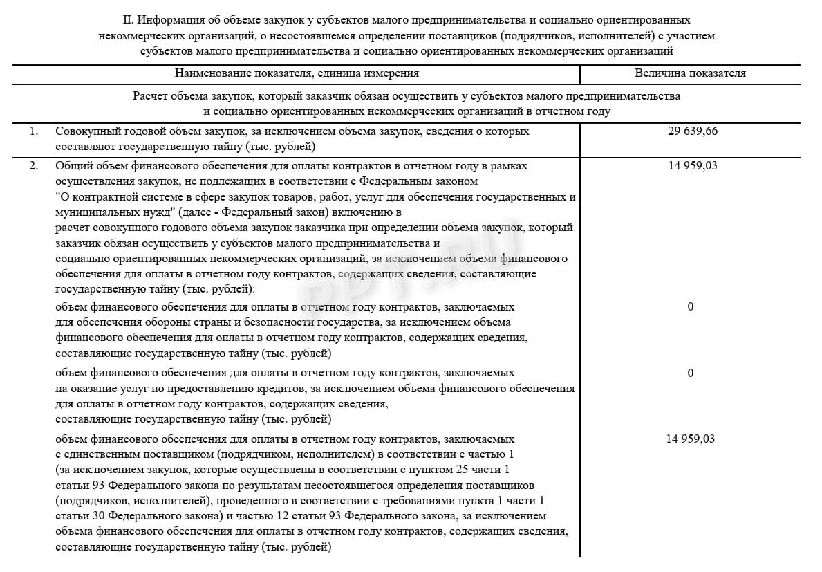 Образец отчета СМП и СОНКО за 2025 год (стр. 2)
