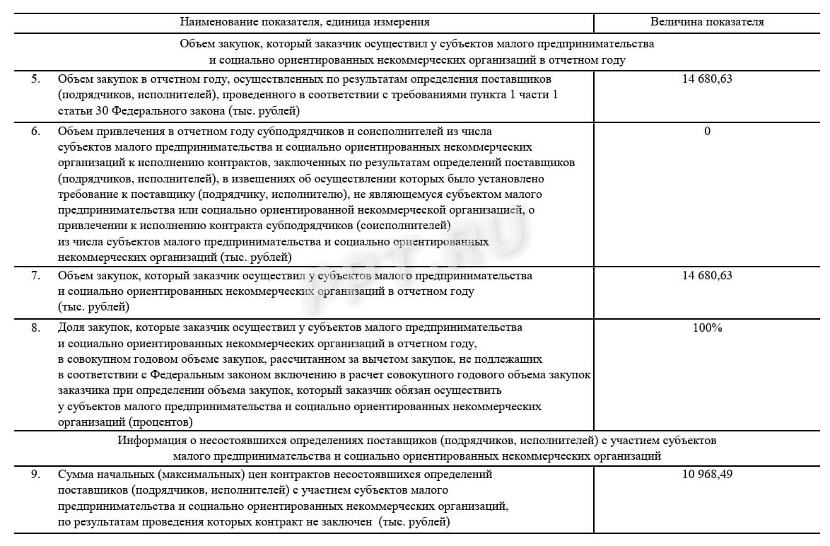 Образец отчета СМП и СОНКО за 2025 год (стр. 4)