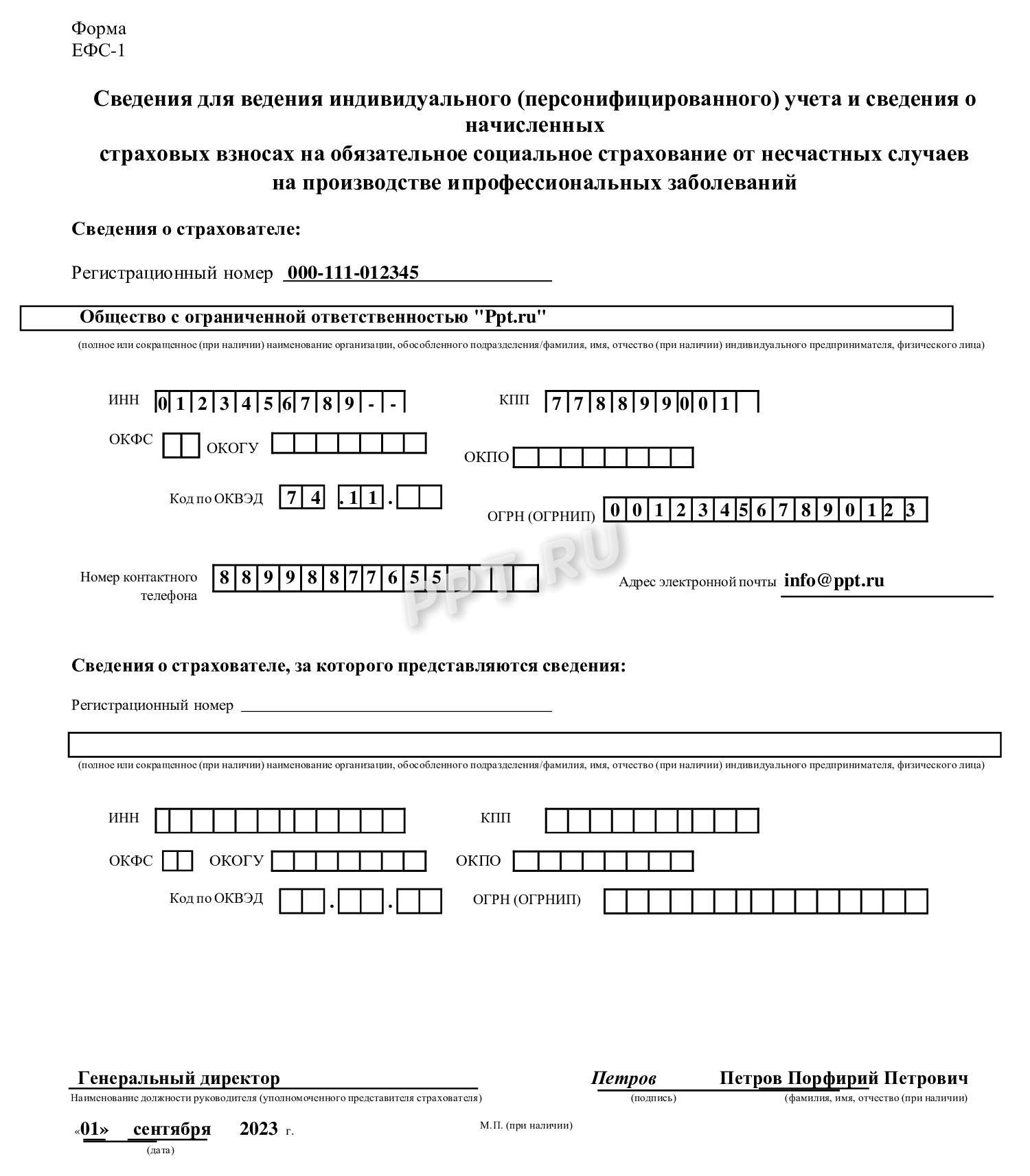 Пример отчета ЕФС-1 