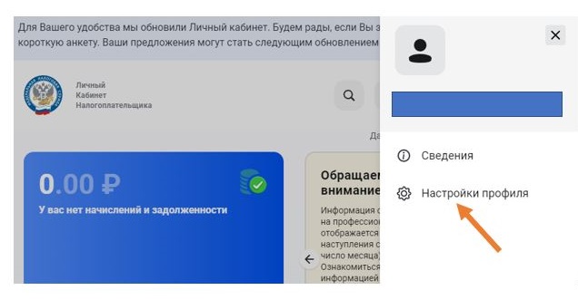 Окно выбора настроек профиля Окно выбора настроек профиля