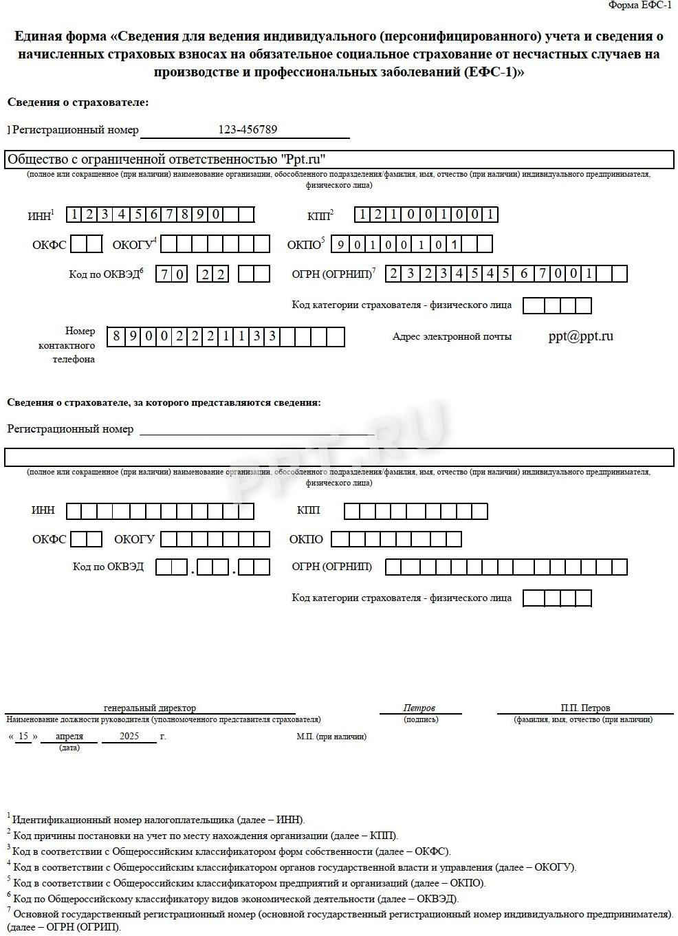 Титульный лист формы ЕФС-1