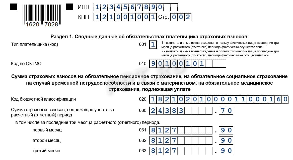 РСВ со взносами за директора (раздел 1)