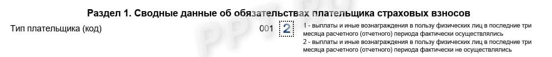 Нулевой РСВ (раздел 1)