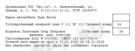 Данные водителя и организации в путевом листе