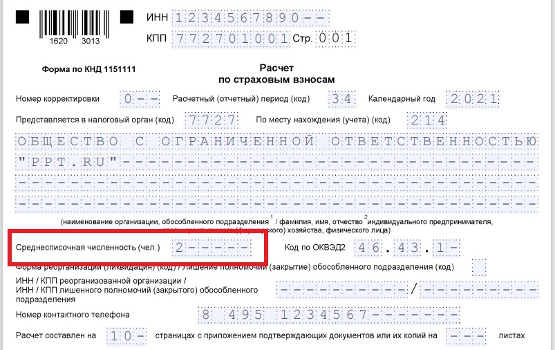 общая численность работников если ип без работников