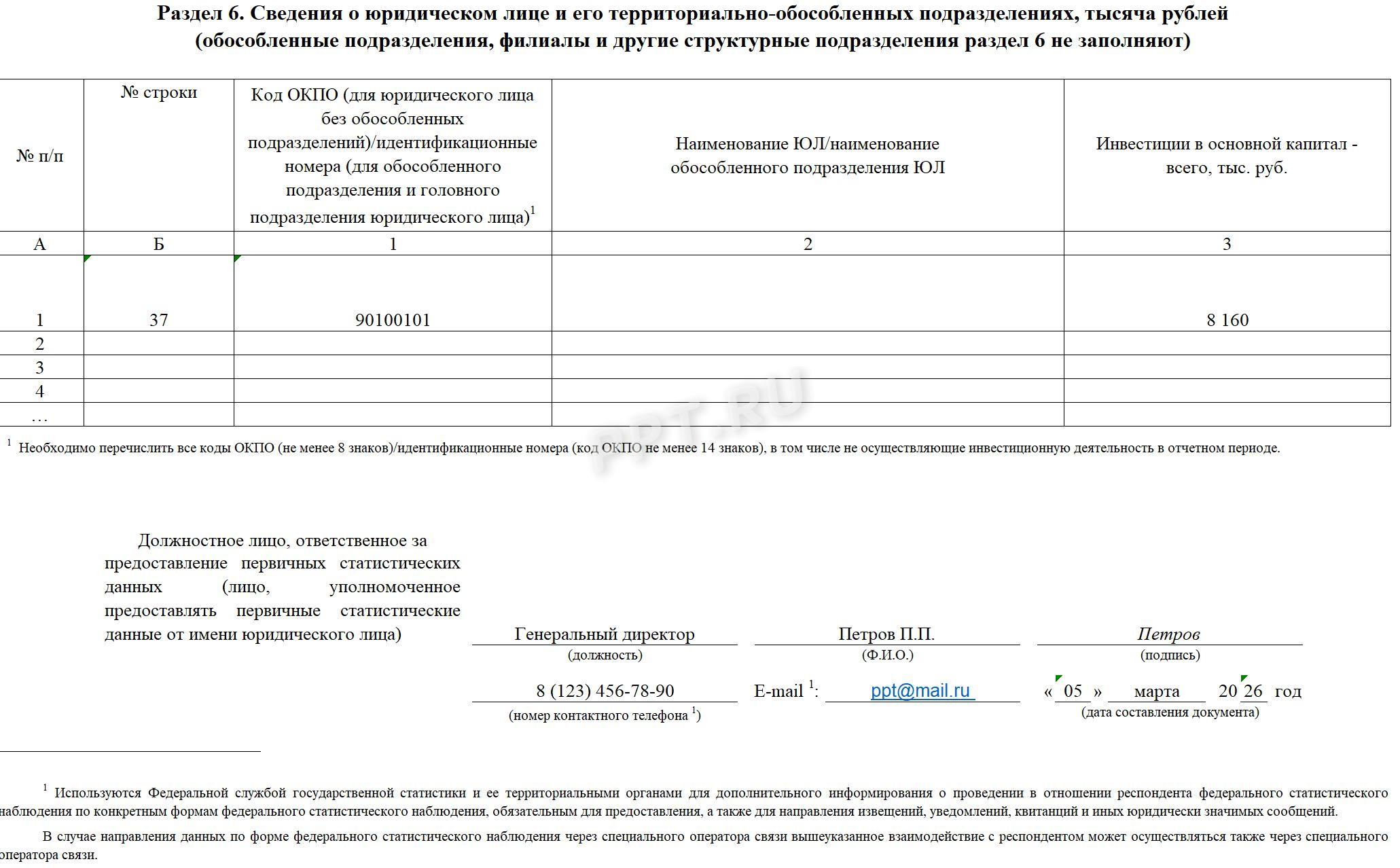 Раздел 6 формы П-2 (инвест)